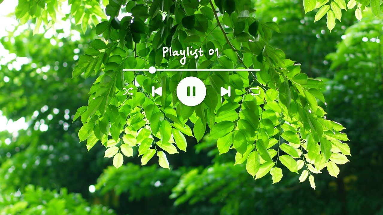 Playlist 01 |  Âm nhạc cùng cây cối hoa lá cành - Những bản nhạc hay nhất trong vlog của mình