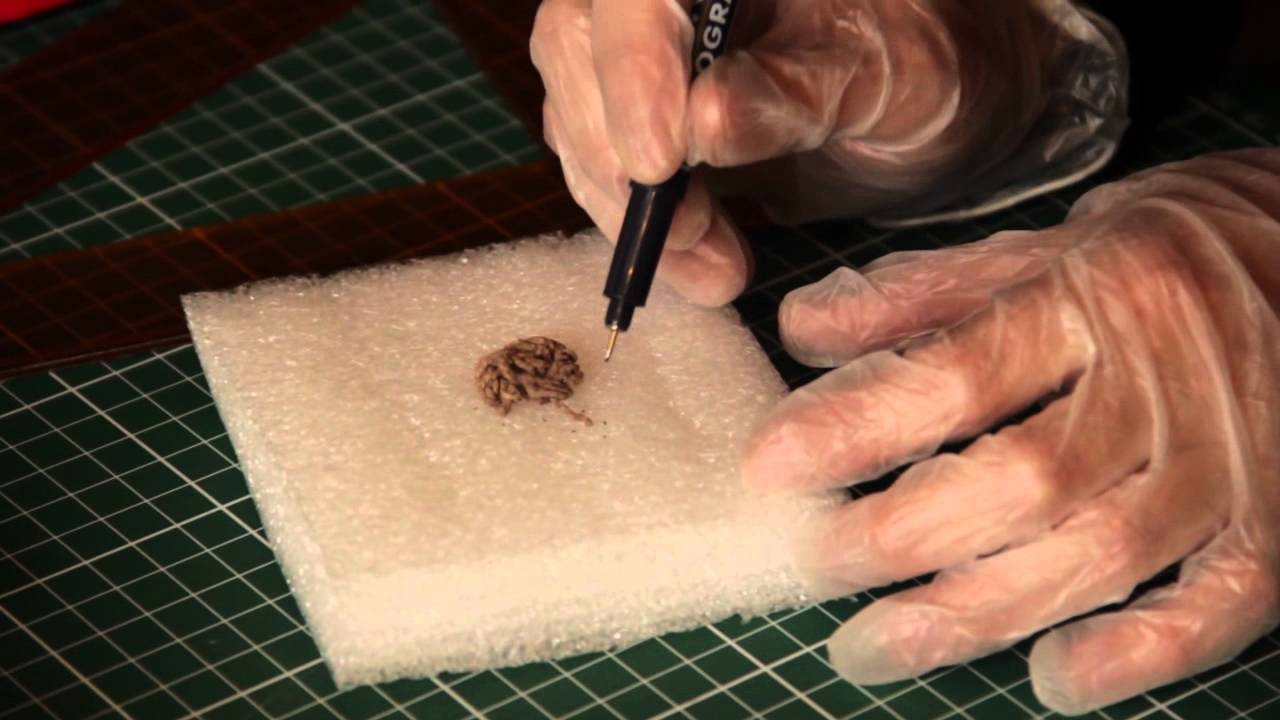 Baluarte #22: Francisca Campos: La restauración de la memoria textil