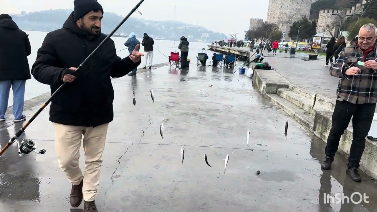 Tirsi Sardalya Dev istavrit Çapari ile istavrit avı #vlog #fishing #fish #balık #istanbul #travel 