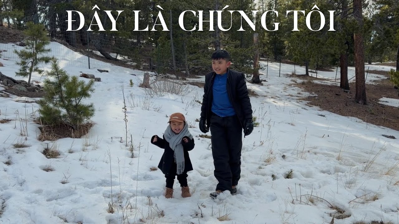 Vlog #25 (Nederland Colorado Pt.2)
