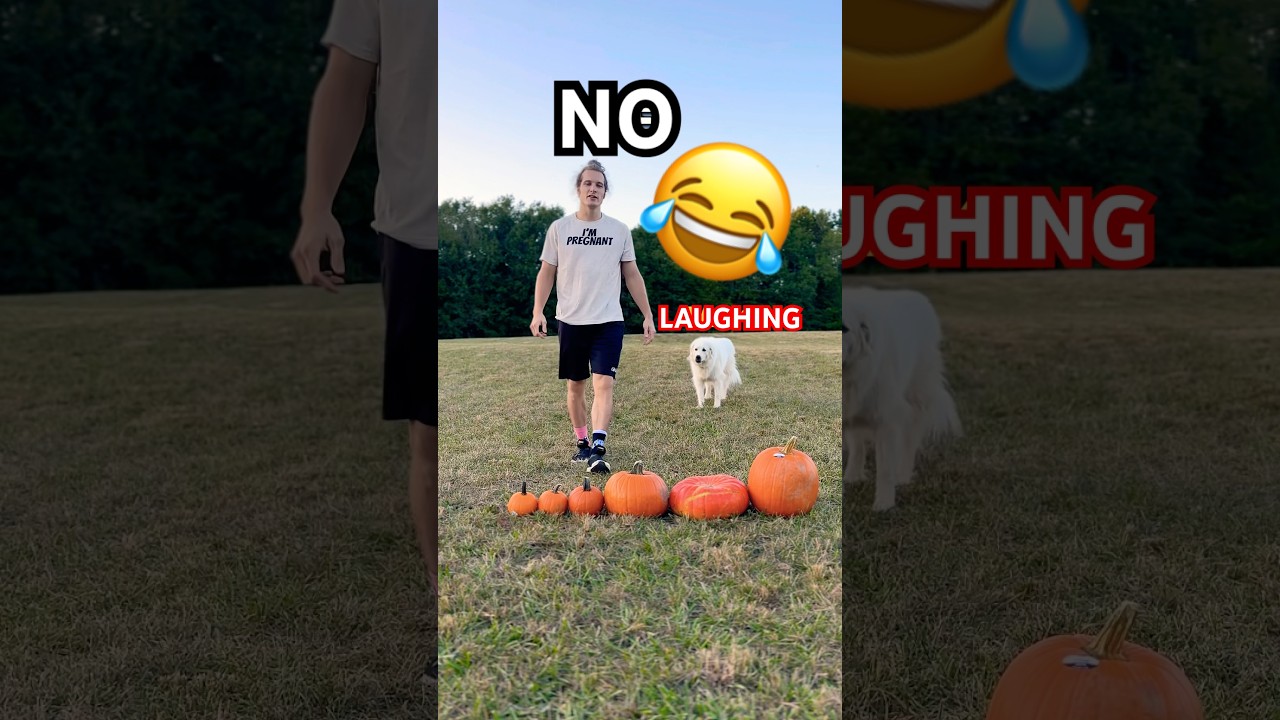 TRY NOT TO LAUGH COMPILATION 😂