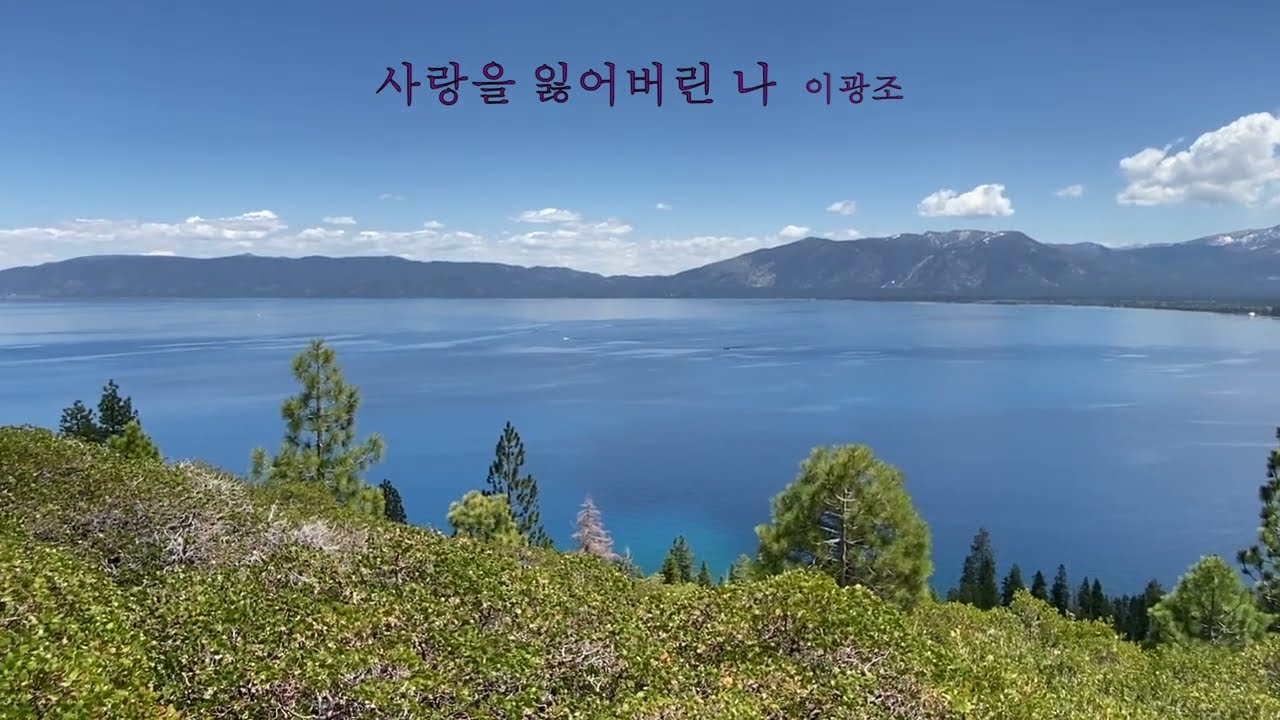 [색소폰 마실] 사랑을 잃어버린 나. 이광조 - 테너 색소폰 연주