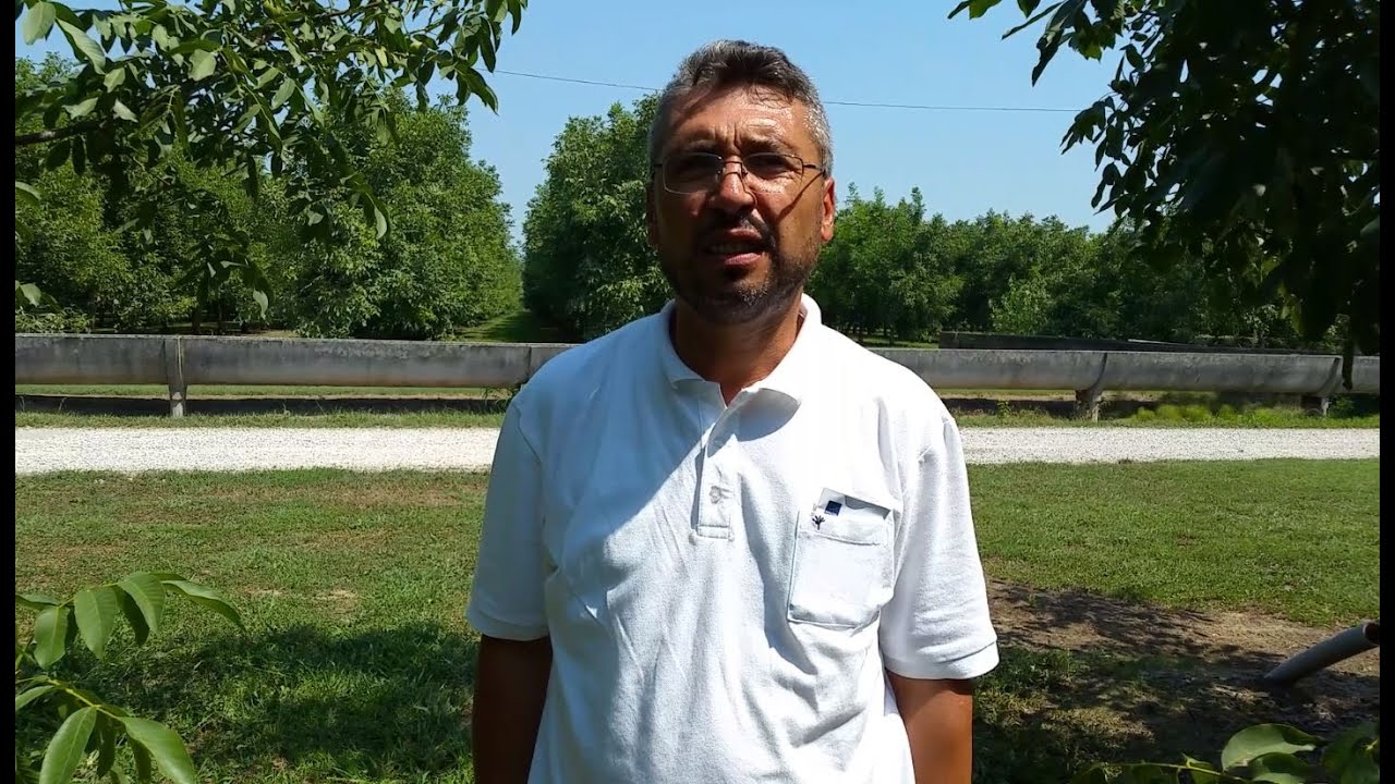 D&uuml;nyadan Ceviz | İtalya 1. B&ouml;l&uuml;m