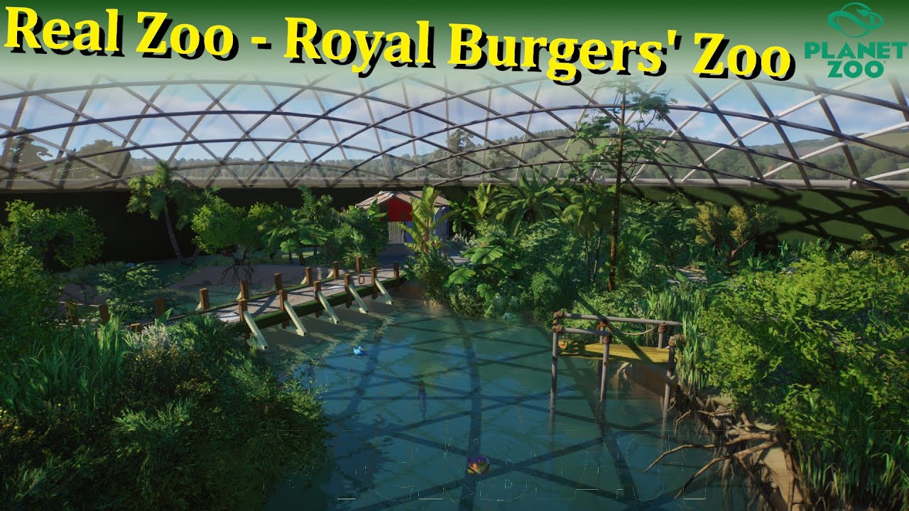 Real Zoo vs Planet Zoo - Including Mangrove