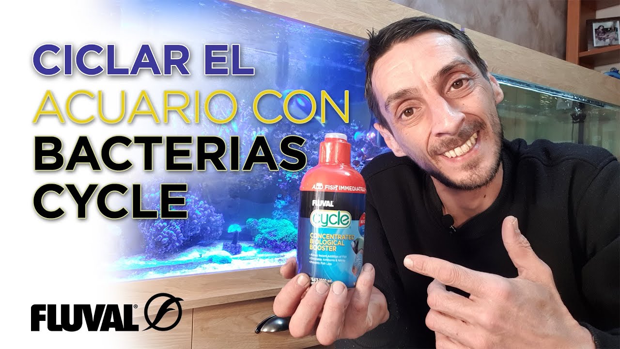 Ayuda a ciclar tu acuario y defiéndelo de las bacterias dañinas