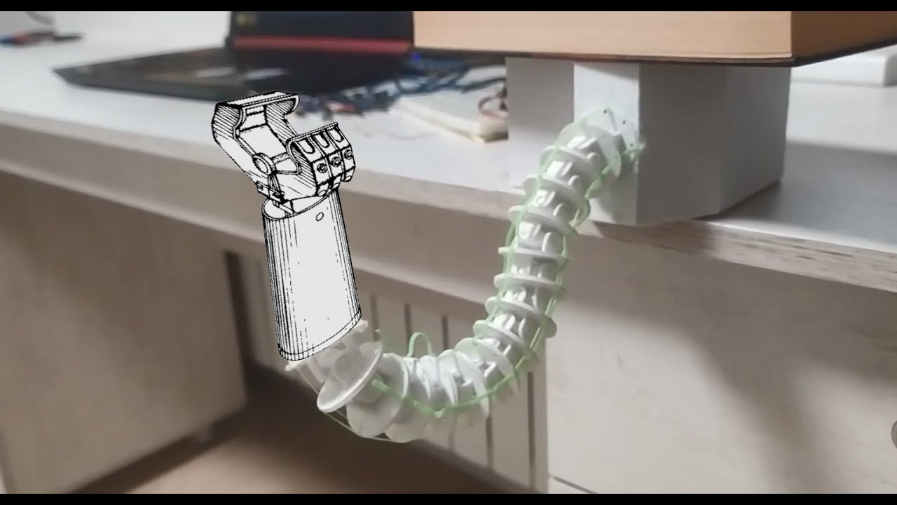Continuum Arm