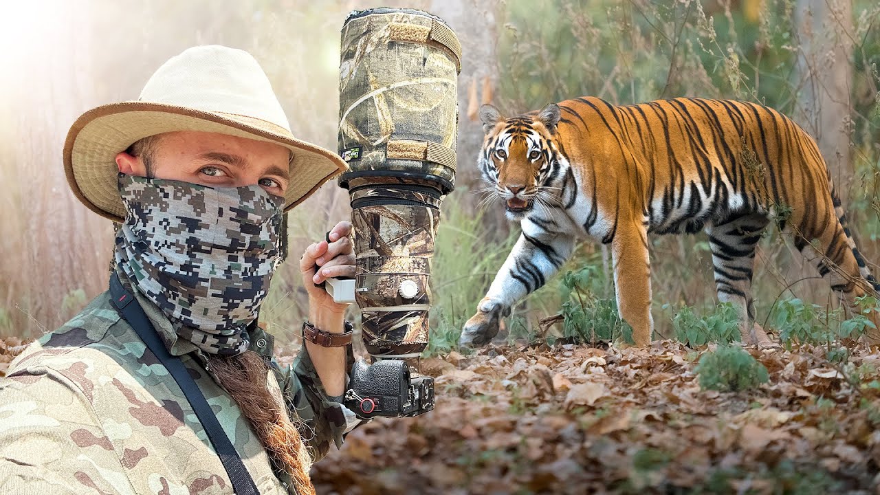 FOTOGRAF&Iacute;O TIGRES SALVAJES DE CERCA 📸 🐅