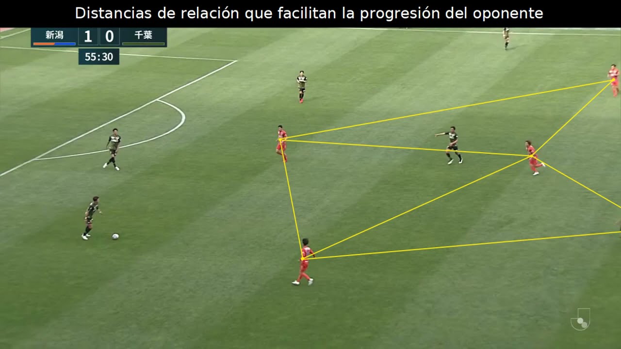 Albirex Niigata | Albert Puig | Juego de posición | J-League 2 | 2021