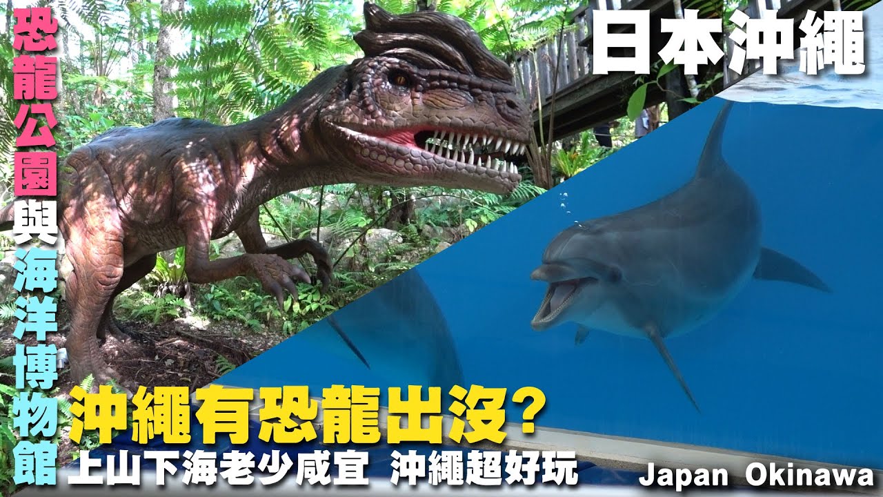 沖繩有恐龍出沒?玩遍各種遊樂園與玻璃底船 老少皆歡樂 ~沖繩旅行~ 恐龍公園｜山原亞熱帶之森｜日落海攤｜美國村｜海洋博公園｜新原海灘｜ 古宇利海灘  Japan Okinawa