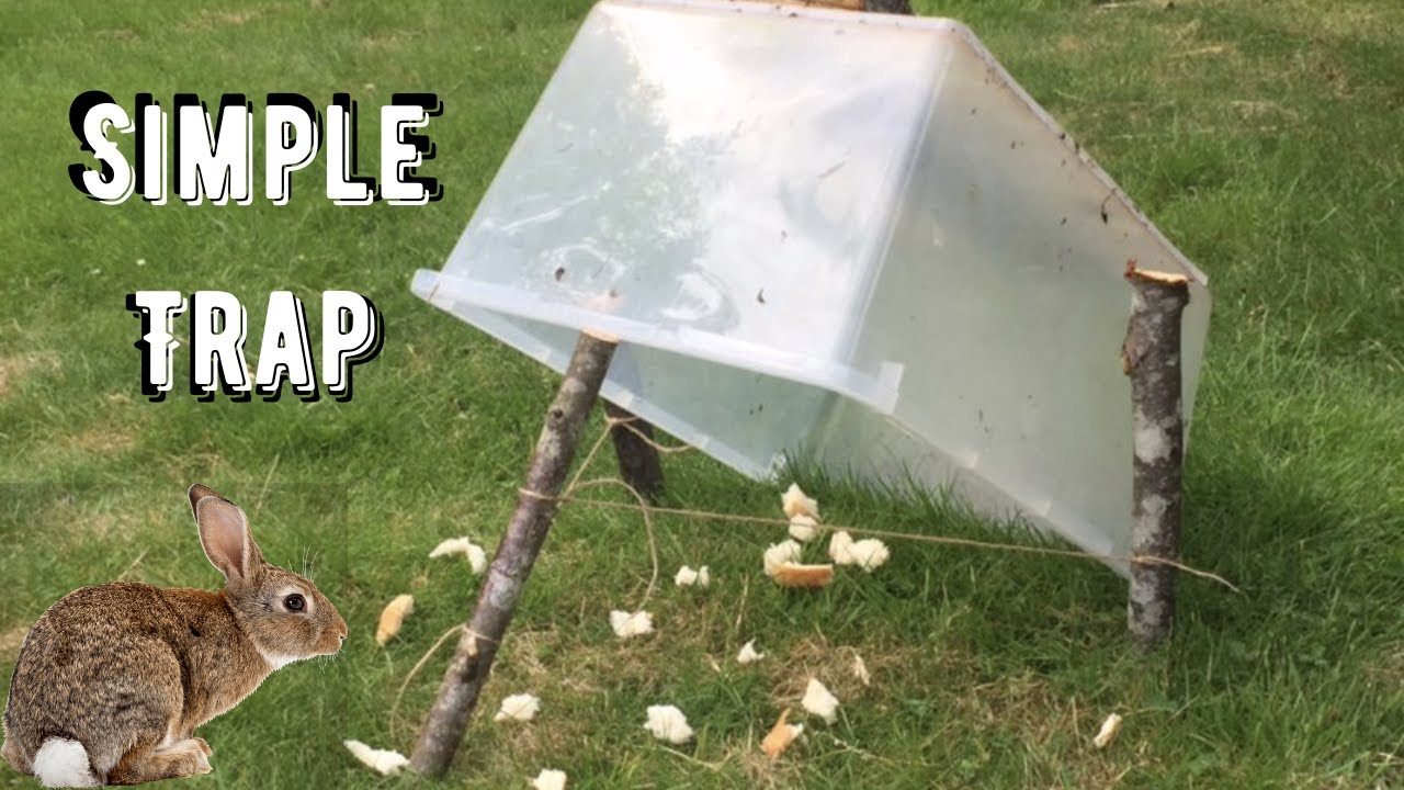 How To Make A Simple Rabbit Trap In Under 5 Minutes - Step By Step Tutorial