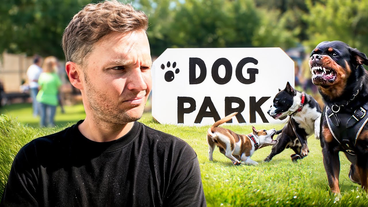 5 Major reasons why dog parks are dangerous- Dog Training Tips