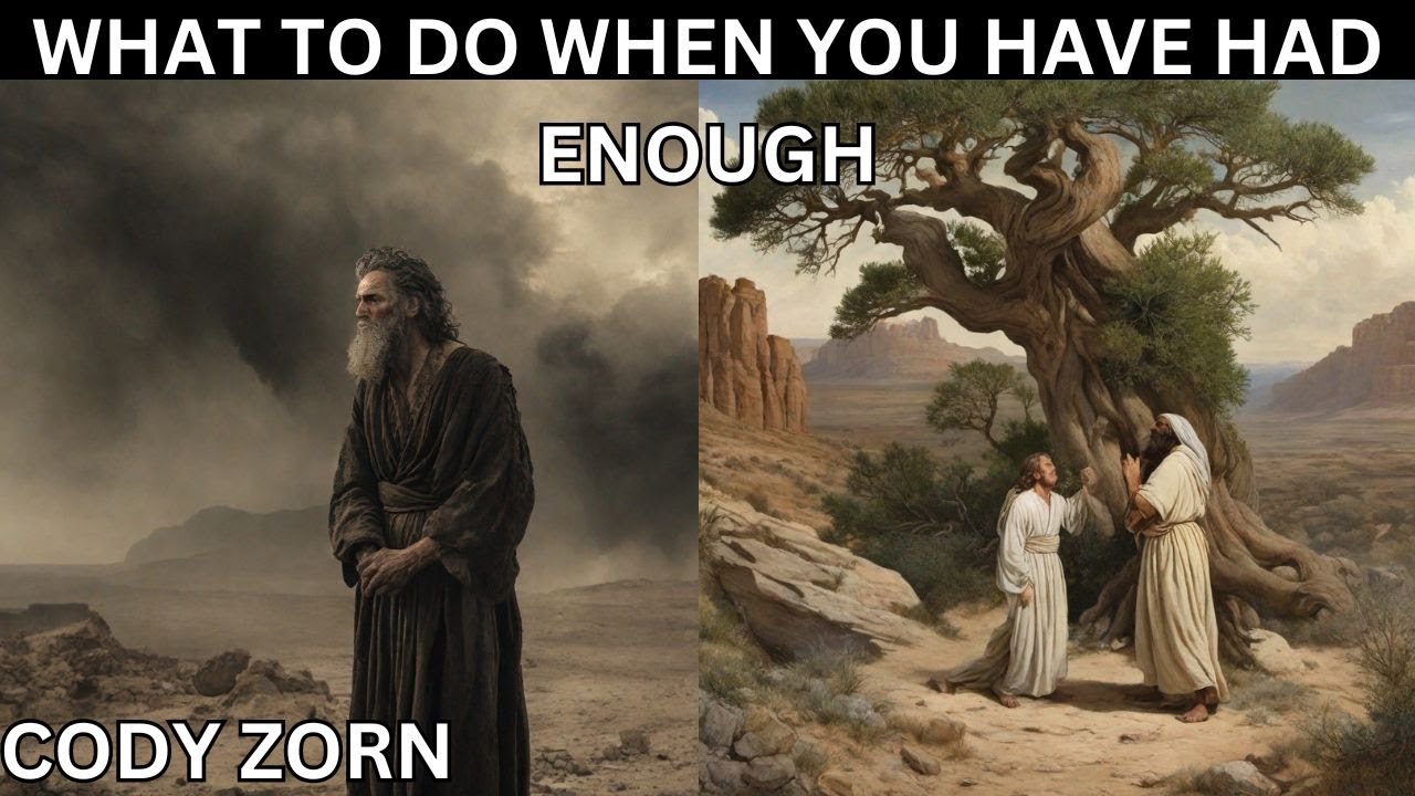 CODY ZORN - WHAT TO DO WHEN YOU HAVE HAD ENOUGH
