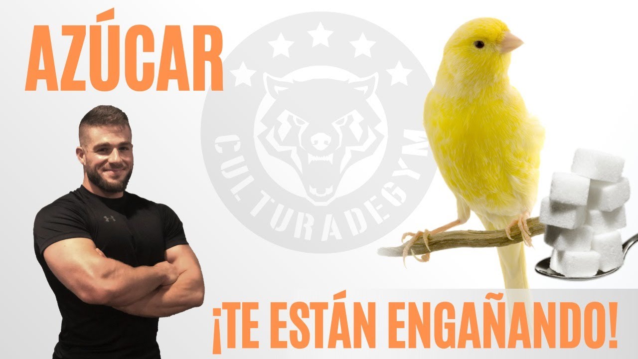 &iexcl;&iexcl; AZ&Uacute;CAR en la DIETA !! 🔥 I 👉 est&aacute;s ENGA&Ntilde;ADO !! 👈