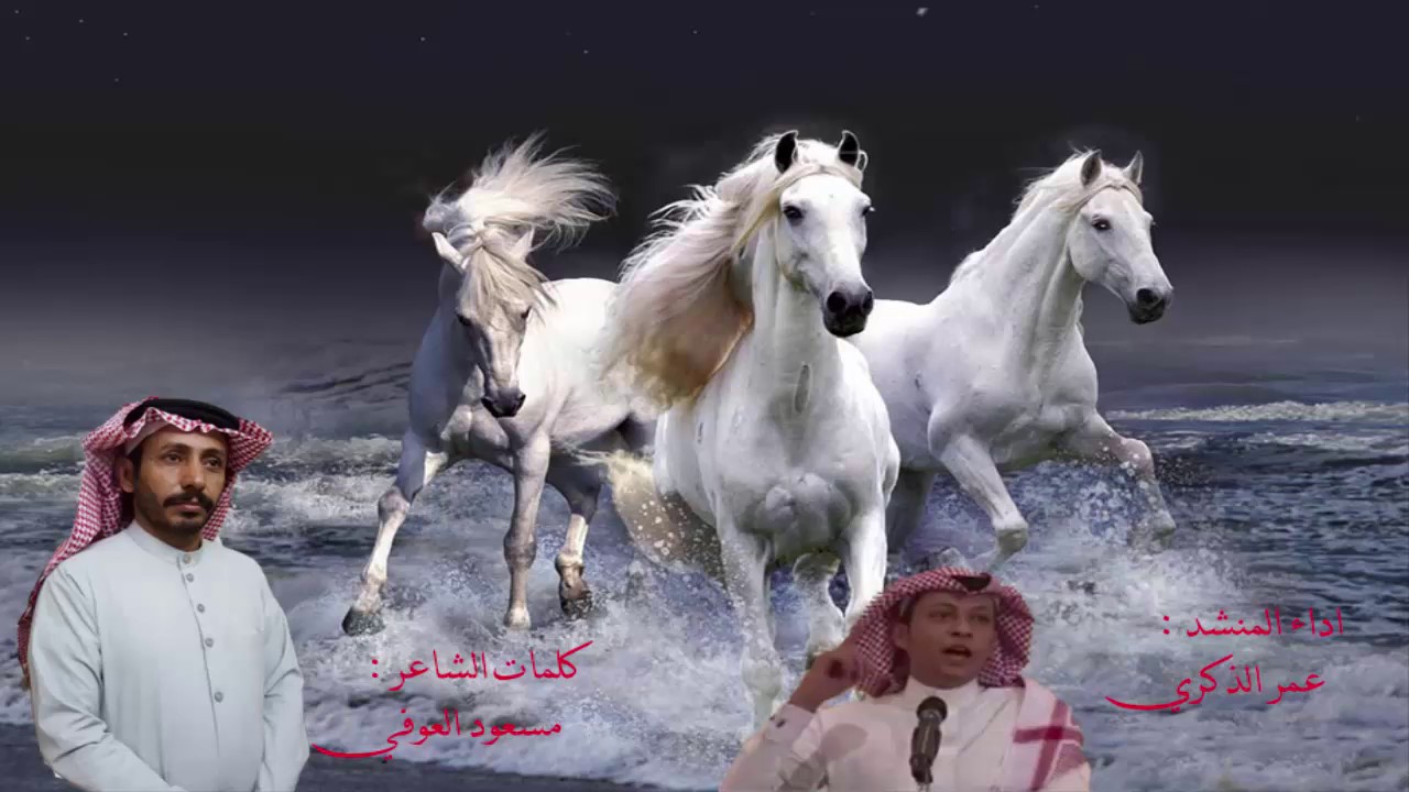 شيلة البركات من عوف للشاعر مسعود سعد العوفي