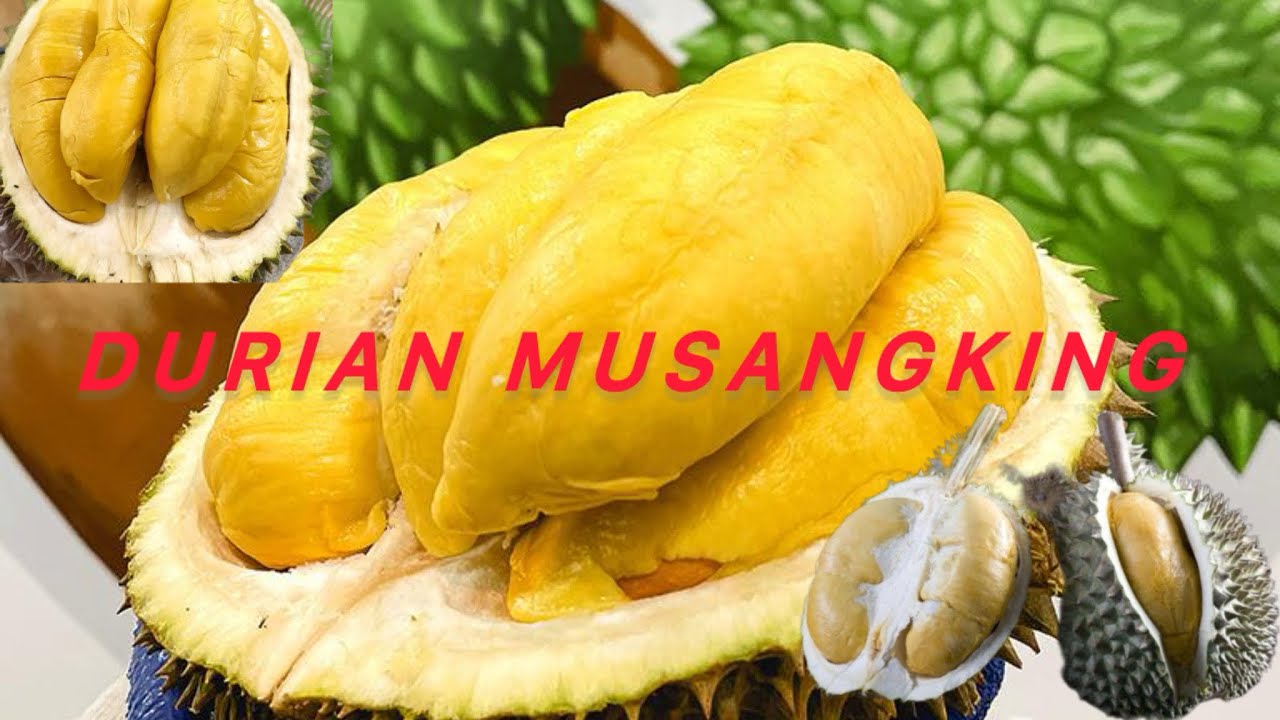 DURIAN MUSANGKING ‼️