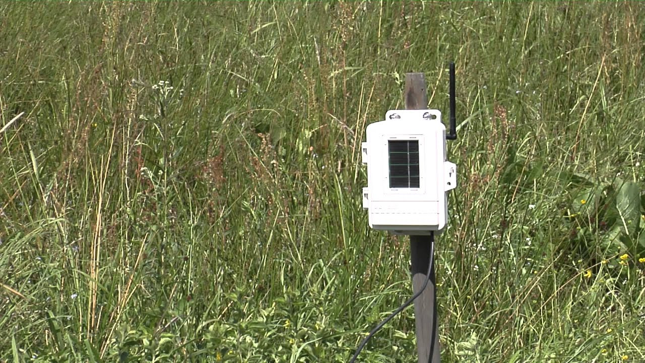 Kachelmann Wetterstation für Kühnhaide