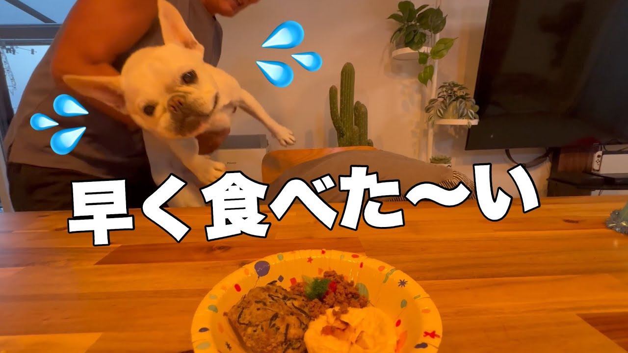 誕生日のご馳走にあやかる6兄弟が食いしん坊すぎて大騒ぎ💦