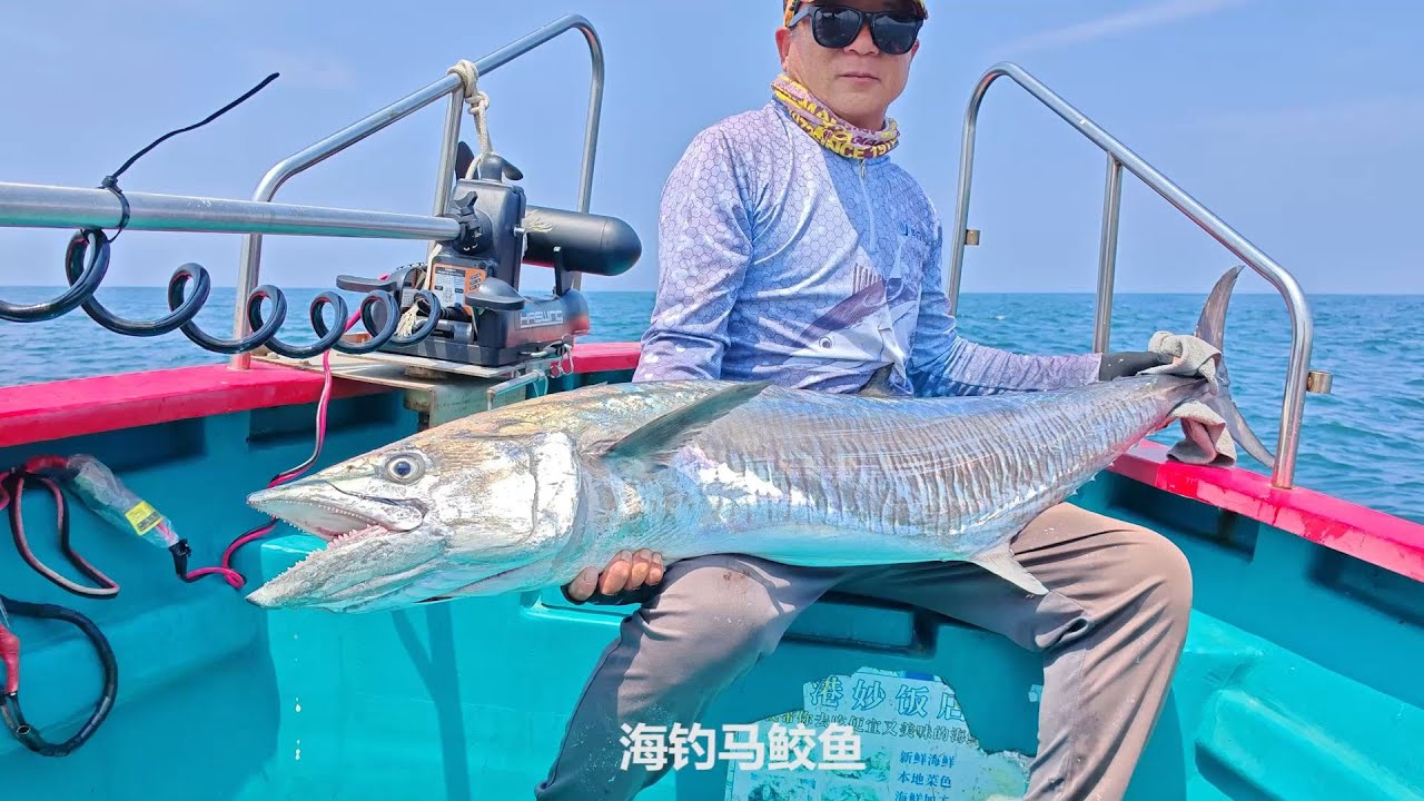 海钓马鲛鱼，我的钓鱼日记828期