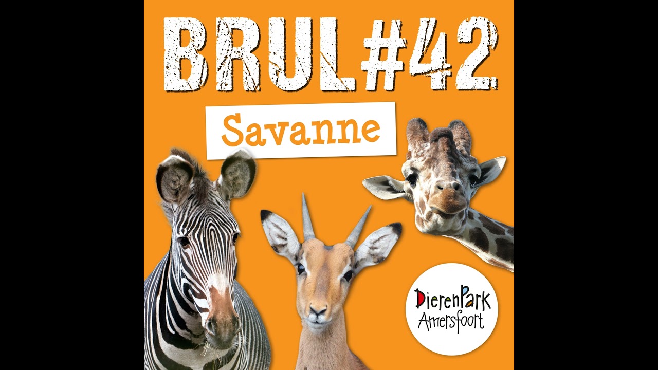 De Savanne op! 🦓 | BRUL #42