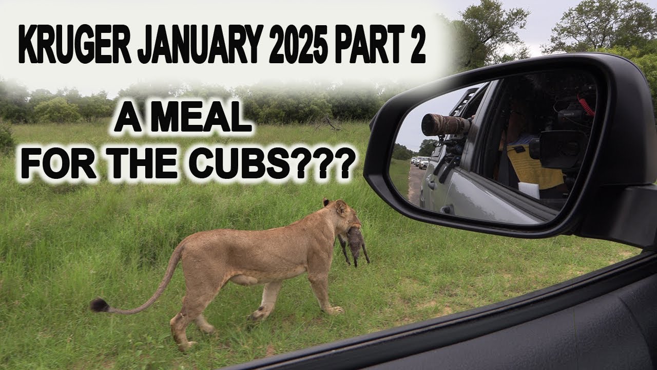 KRUGER JAN 25 PART 2