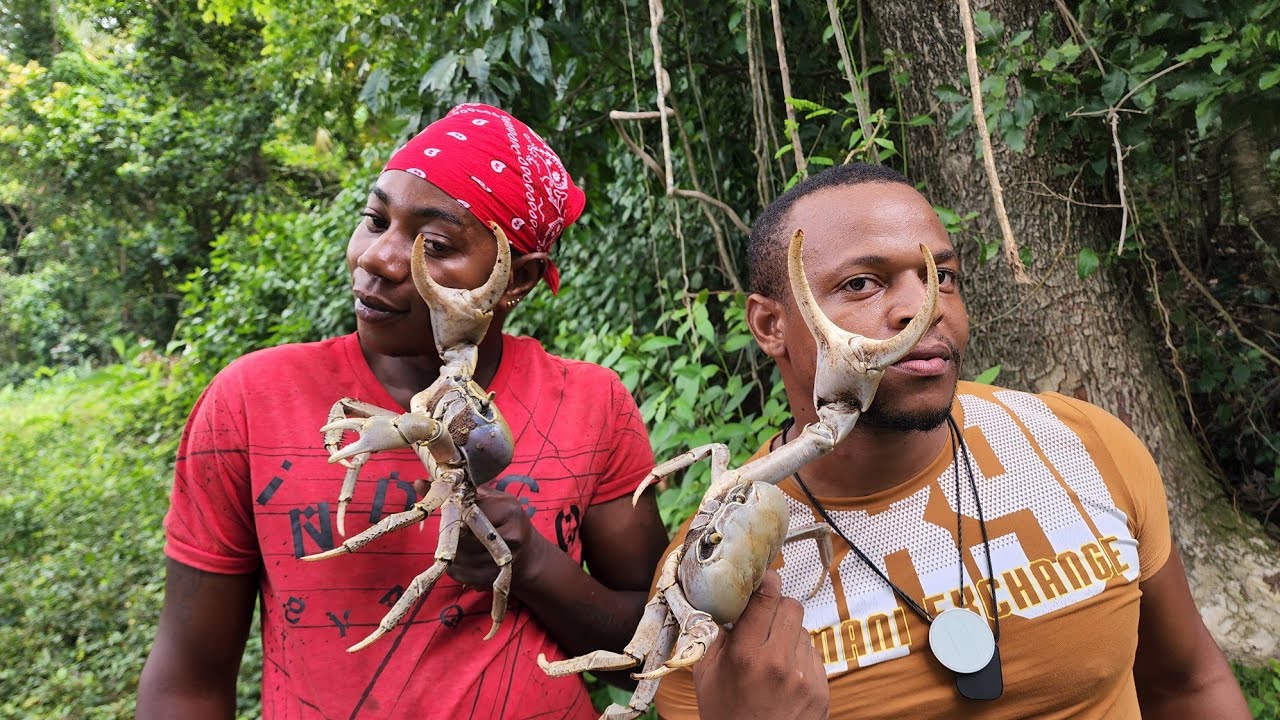 Crab hunting at night in the swamps - crab season in Jamaica