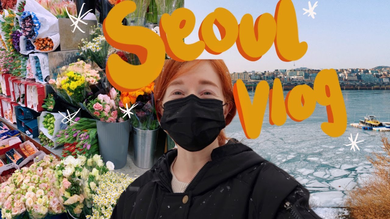 more snow, english bookstore, and flowers | my life in seoul, korea vlog