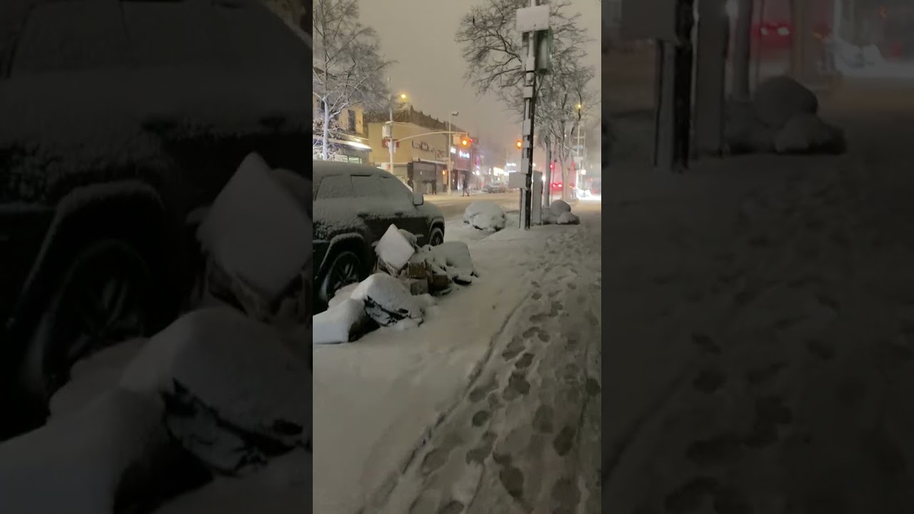 Un Paseo en la tormenta de nieve. ￼