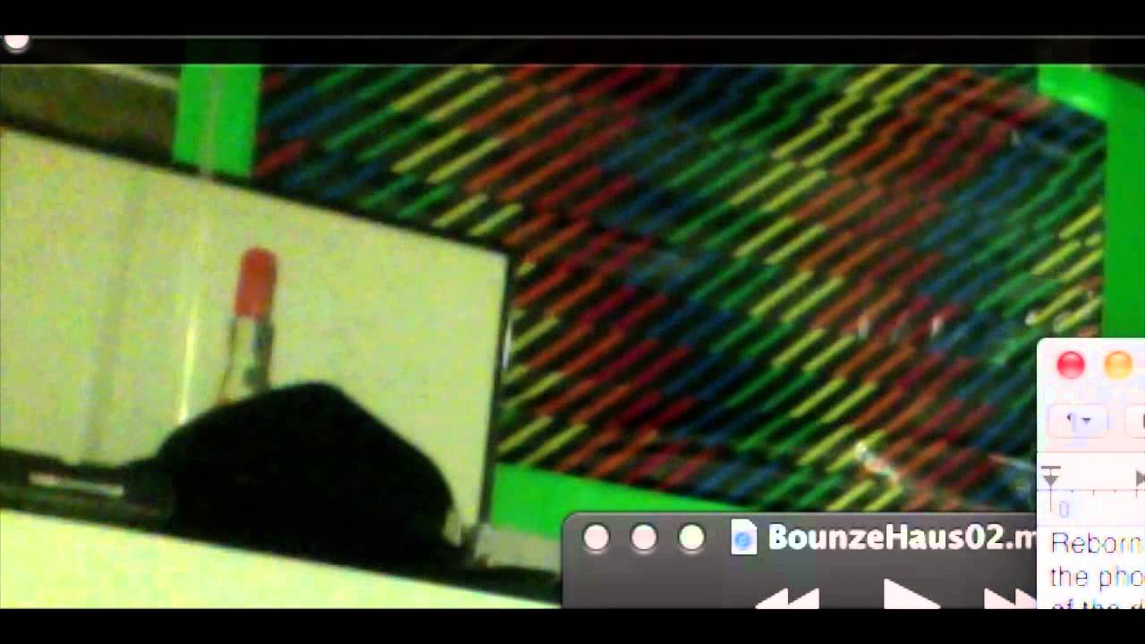 Bunz e Haus