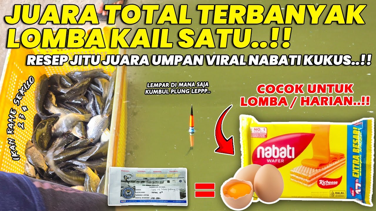 JUARA TOTAL IKAN TERBANYAK PAKAI KAIL SATU !! RACIKAN TERJITU UMPAN NABATI KUKUS TERVIRAL ❗❗