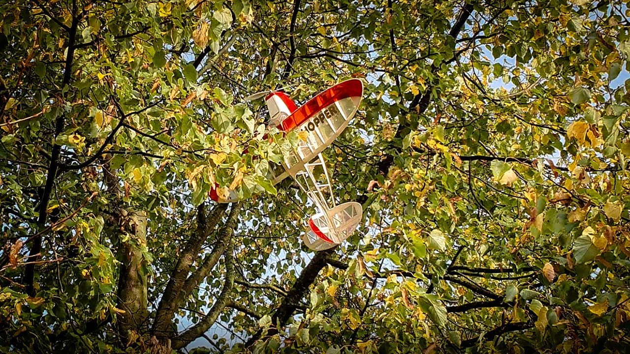 Der frühe Vogel fängt den BAUM...