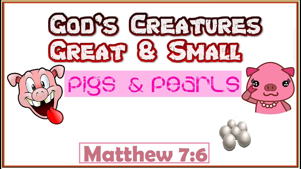 Pigs and Pearls | Sermon on the Mount | Matthew 7 | The Kingdom of God is Like a Pearl |Matt Webster