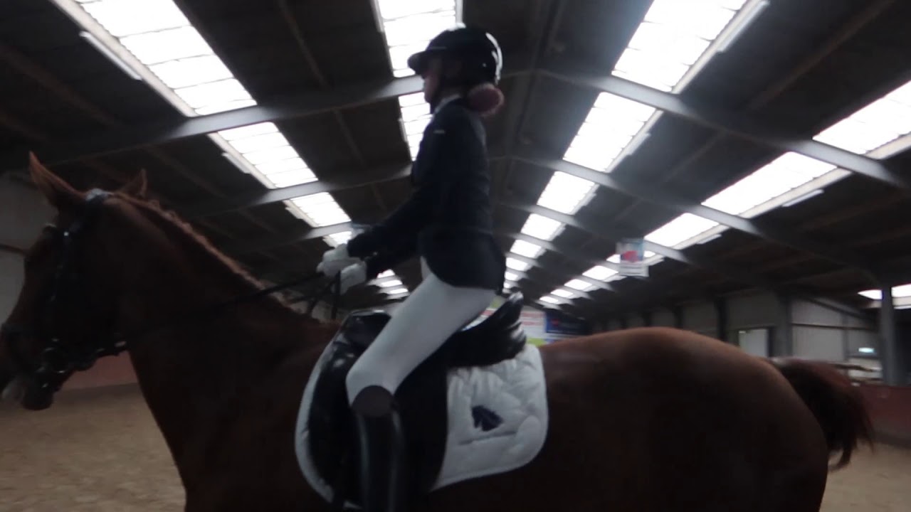 Dressuur een jury sport BB proef 1 Tessa en Verona 16 februari 2020 * Hart voor Paarden *