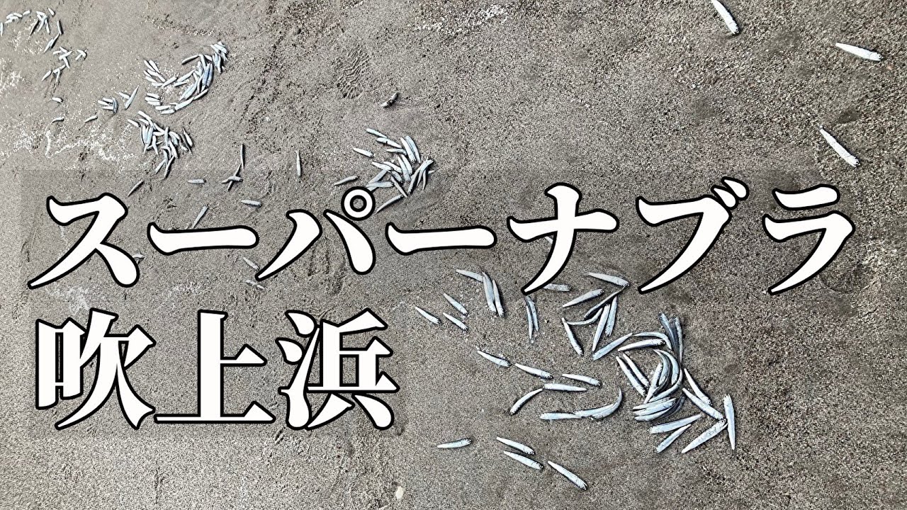 スーパーナブラ　吹上浜サーフ　ショアジギング　リベンジャー  鹿児島　釣り