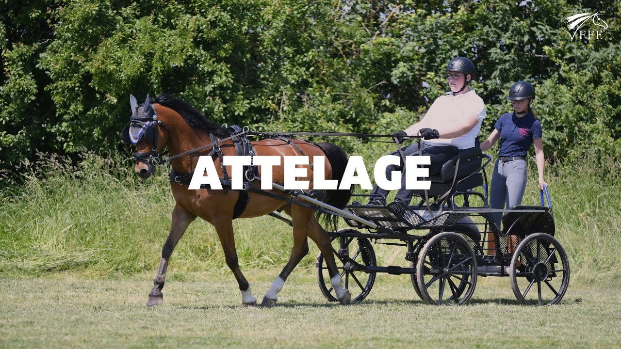 À TOI DE JOUER - Attelage