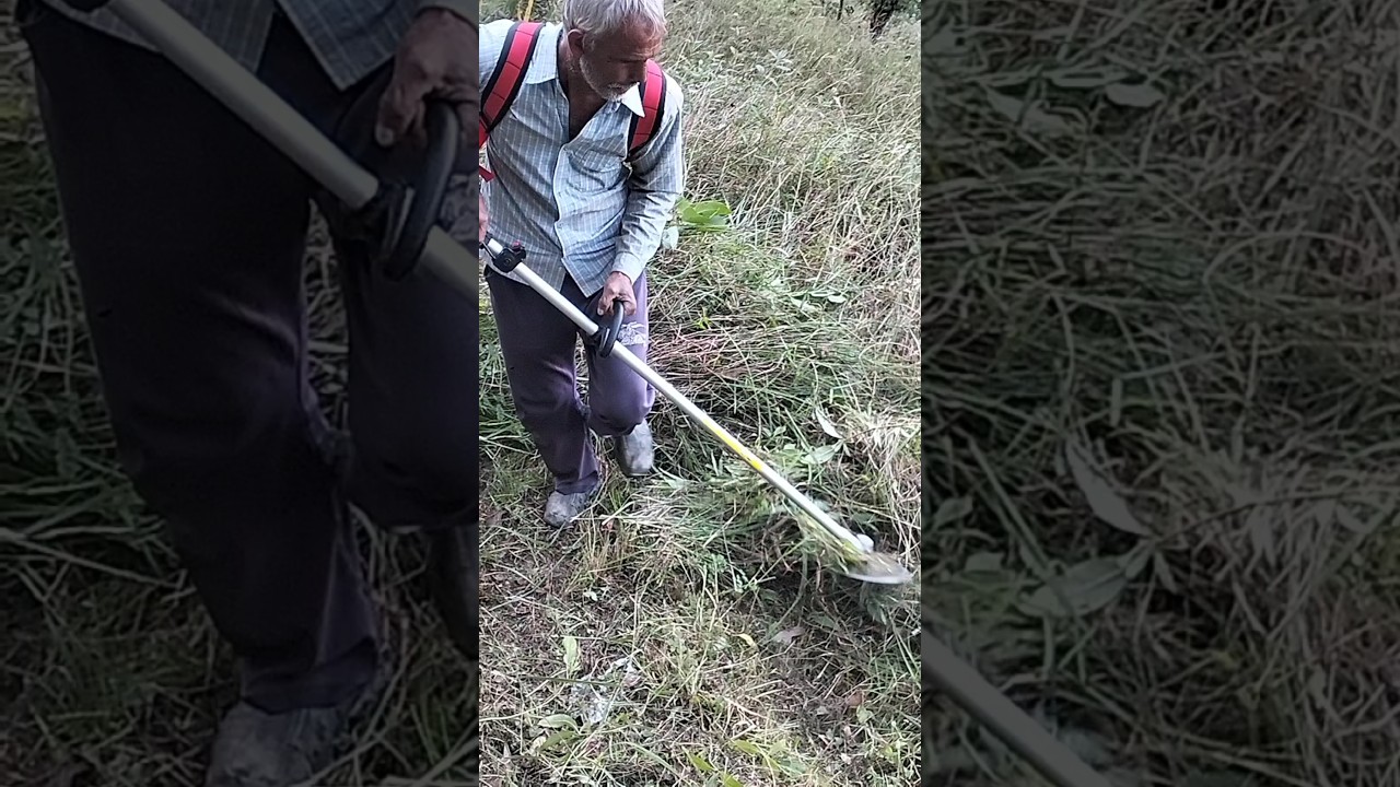 Grass Cutter #phadilifestyle #villagerlifestyle #shortvideos