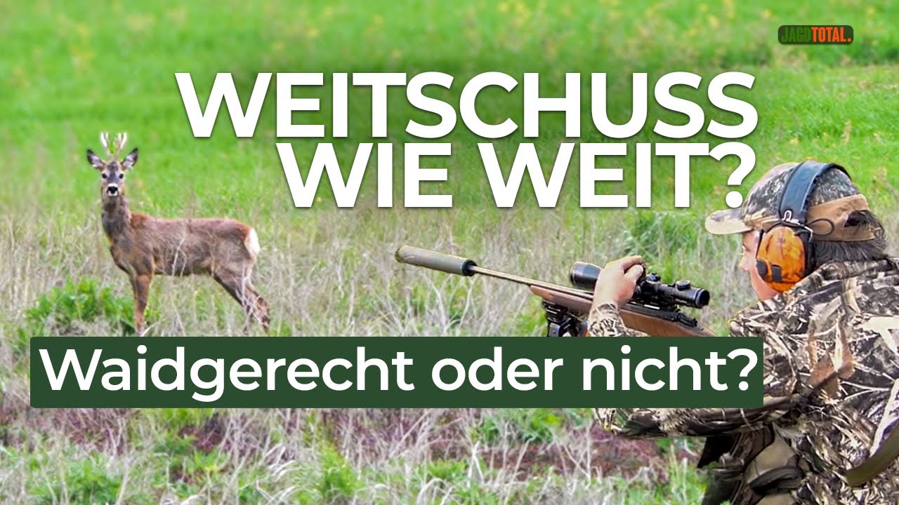 Weitschuss bei der Jagd &ndash; wie weit ist noch waidgerecht?