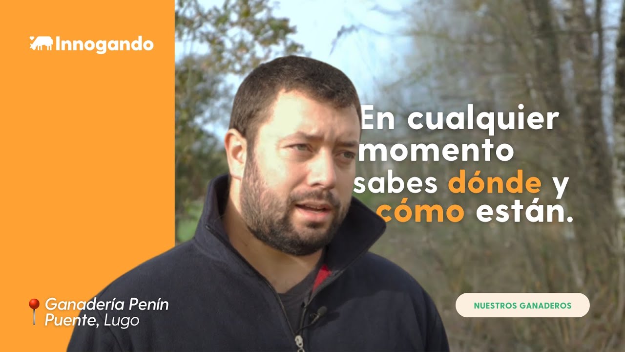 Collares GPS de Innogando: monitorización en tiempo real en la Ganadería Penín Puente SC
