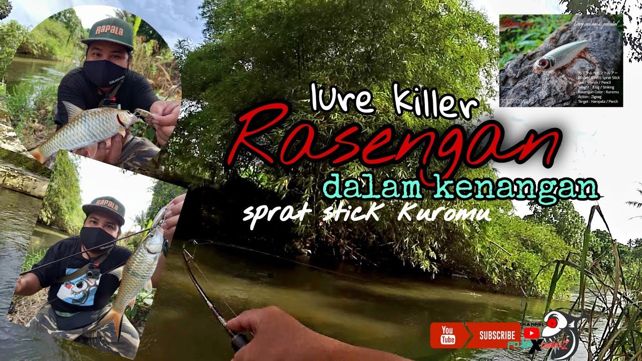 LURE killer ikan sebarau | 6️⃣0️⃣ | sprat stick rasengan dalam KENANGAN | lure STRIKE PRO