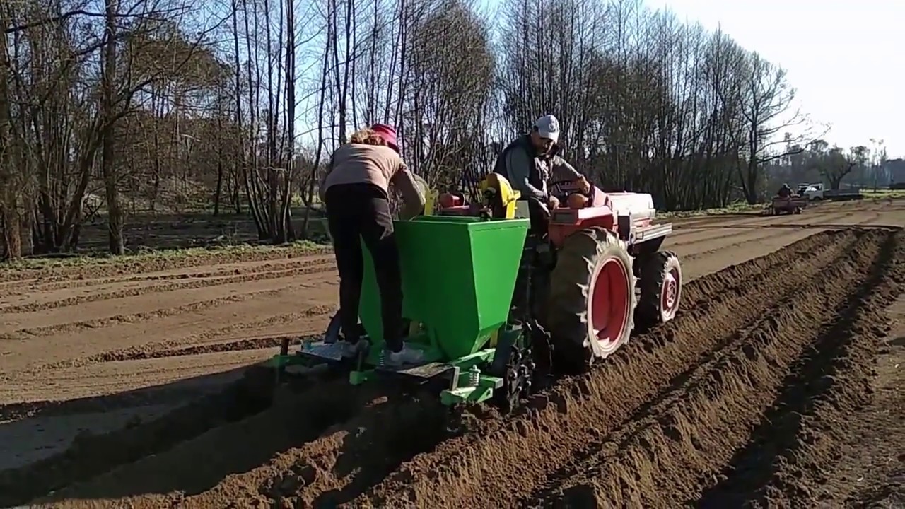 AGRIMATE.NET Semeador de Batatas Automático