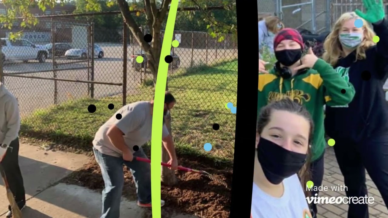 Tree Tuesday 2022