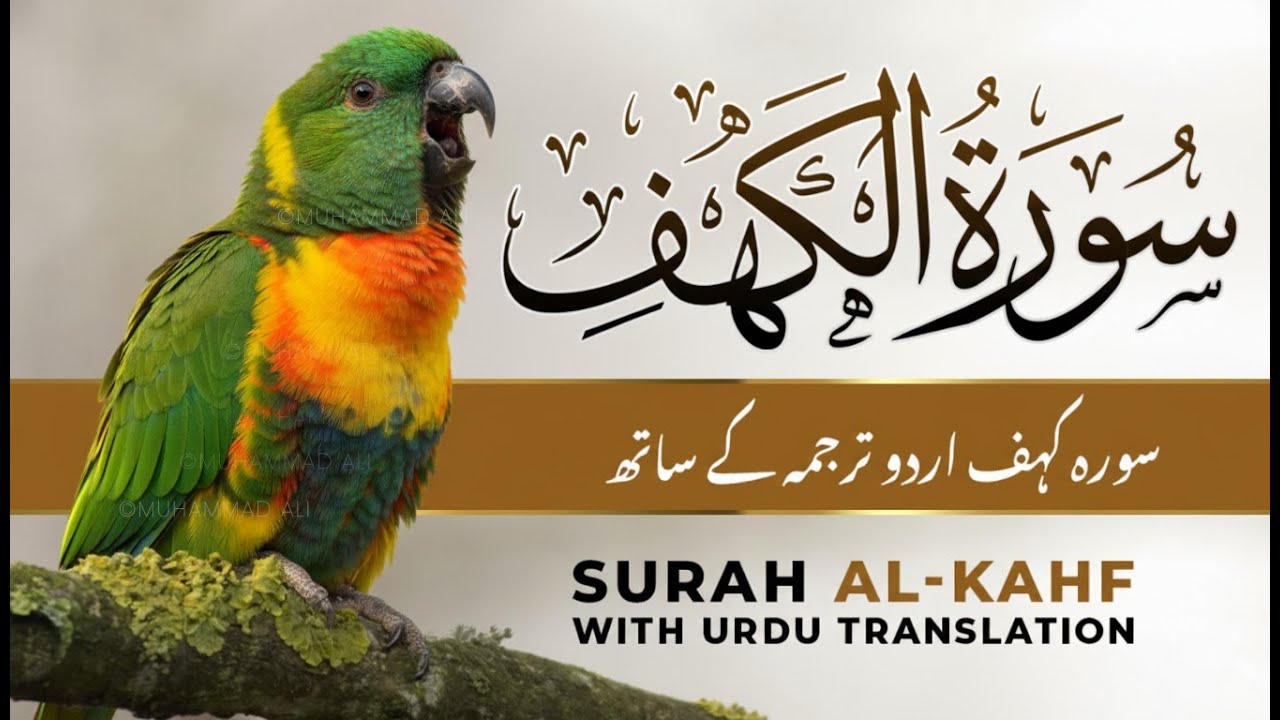 Surah Kahf | Quran Tilawat with Urdu & Hindi Tarjuma | Heart Soothing Recitation (Surah Al-Kahf)