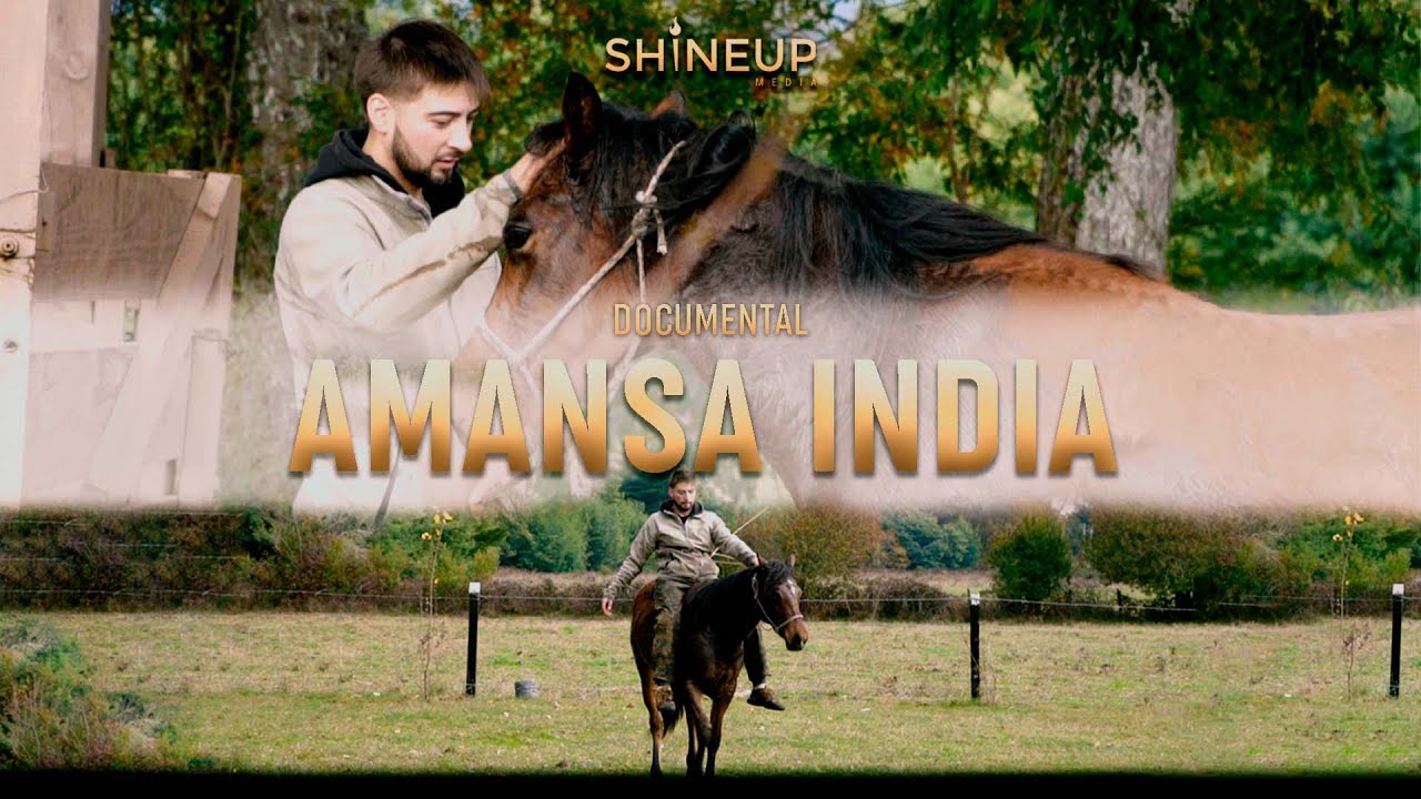 DOCUMENTAL - 