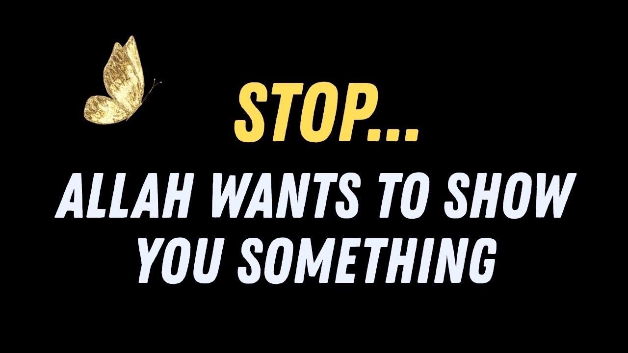 Stop... Allah Wants to Show You Something! 🙌❤️‍🩹