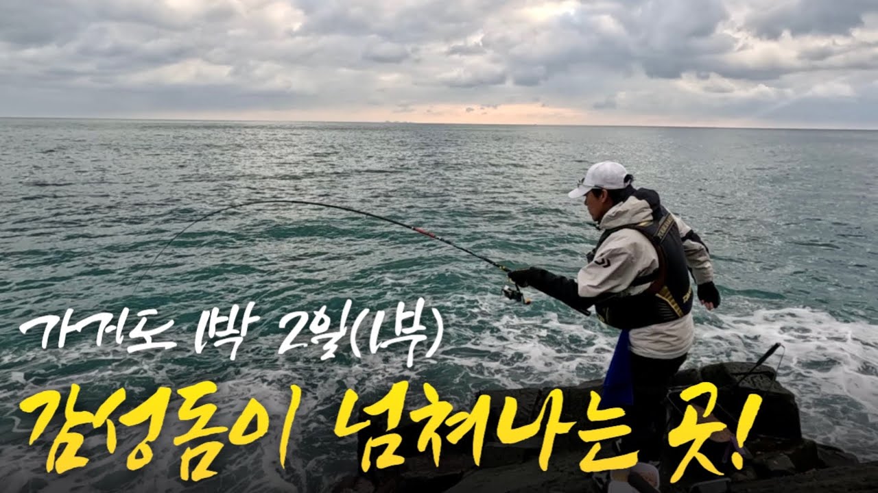 터짐전문의 설움을 지우다! (1부) - 감성돔이 넘쳐나는 가거도!