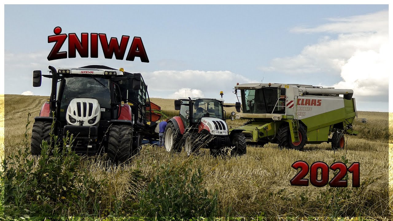 Żniwa rzepaku 2021 | Claas Lexion 430 | 2x Steyr | Zasław | Barbieri | Ongaro