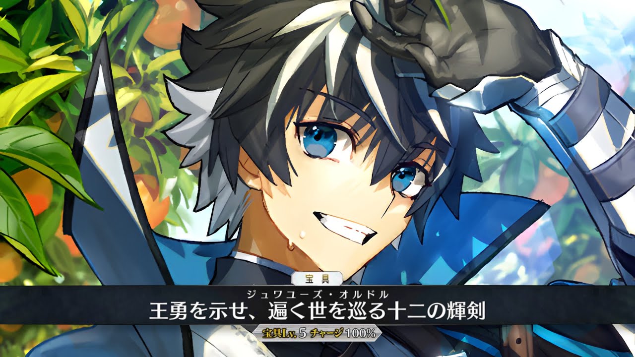 【FGO】Charlemagne Demonstration - シャルルマーニュ - Fate/Grand Order