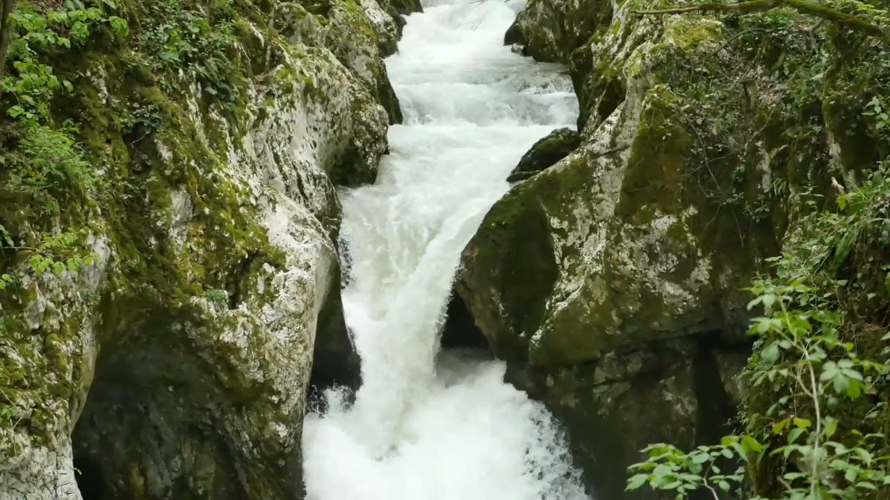 #4dsounds#mothernature#orignalsoundofnature