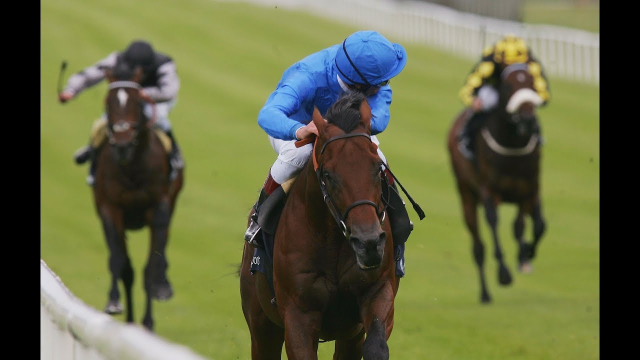 Dubawi - Irish 2000 Guineas (2005)