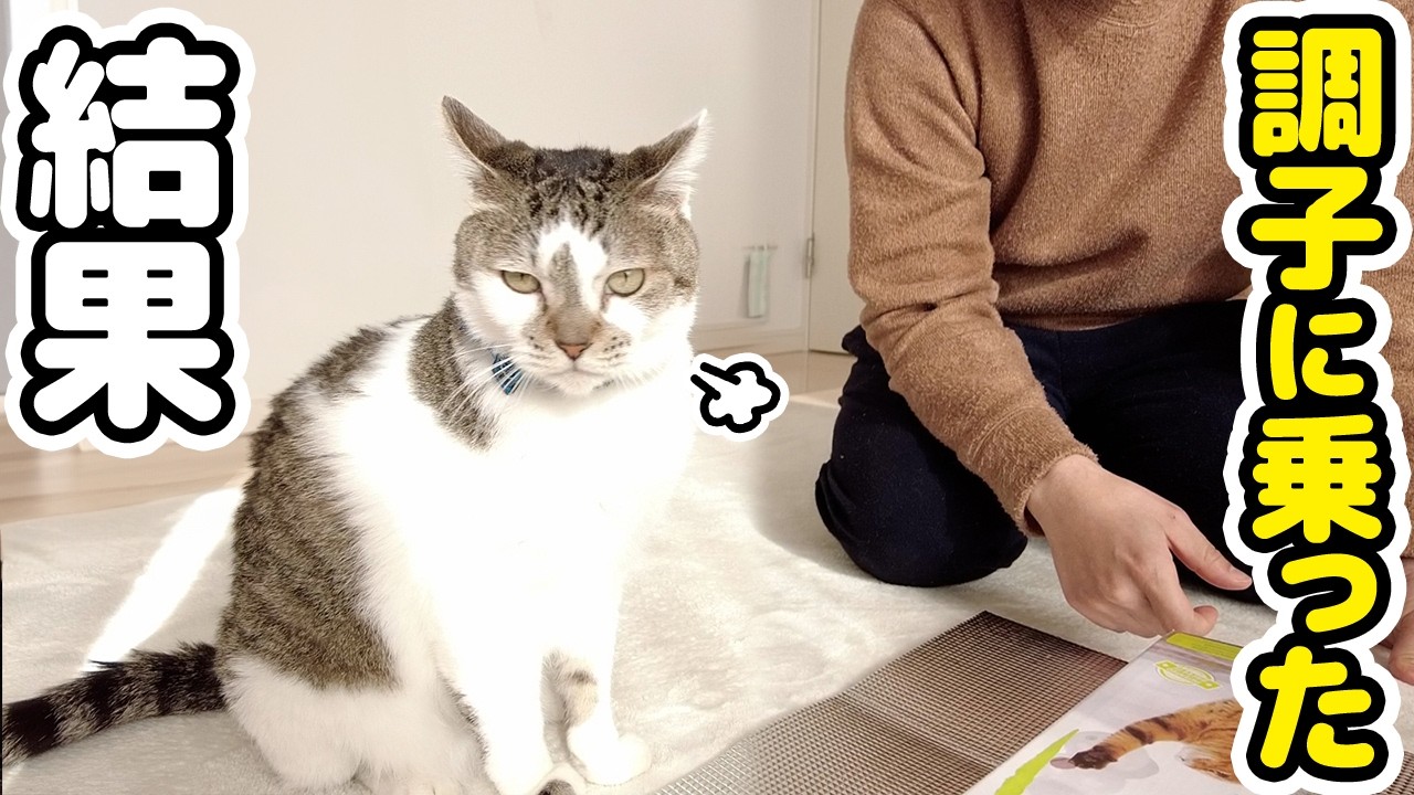 自信満々で買ってきた結果がこちらです