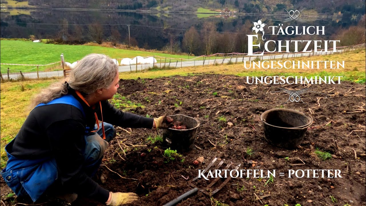 Echtzeit👩&zwj;🌾Lohnt sich 